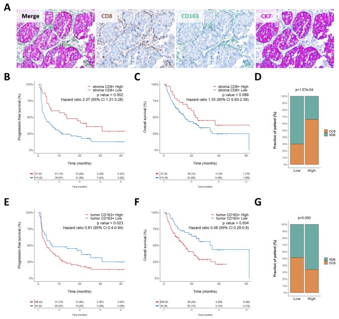 看空间组学如何“解码” 免疫微环境？