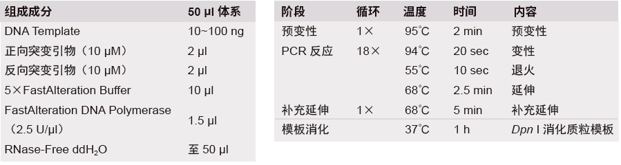 快速定点突变试剂盒(KM101)