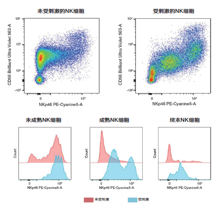 Attune Xenith全光谱流式细胞分析仪： 多维革新赋能精准细胞研究
