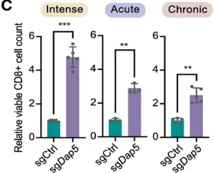 【科研新突破】OLS CASY——CRISPR筛选的“金标准”