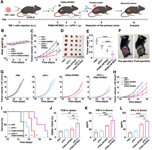 6389415152901125593495616