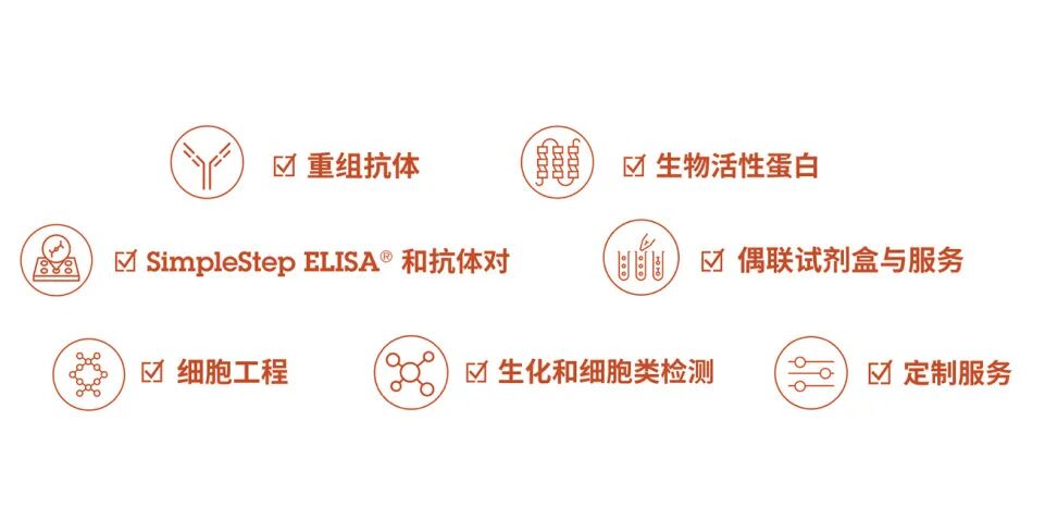 公司要闻｜江苏康成百澳正式成为Abcam品牌授权代理商