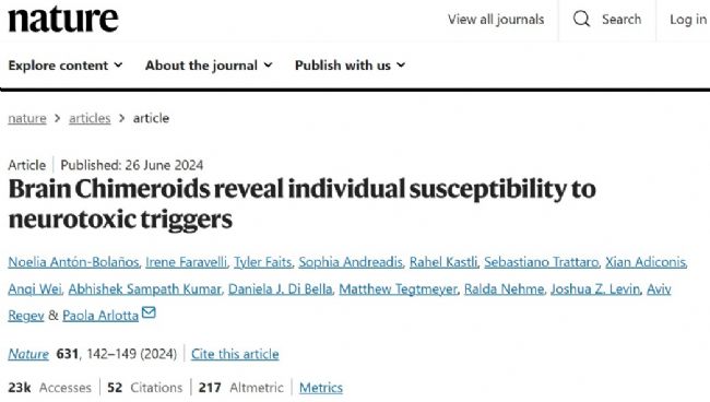 3Brain高分文献速递-类脑篇