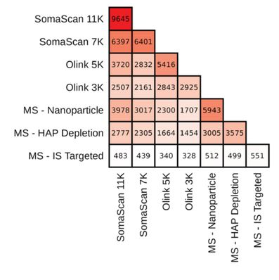 6389441041630017274805284