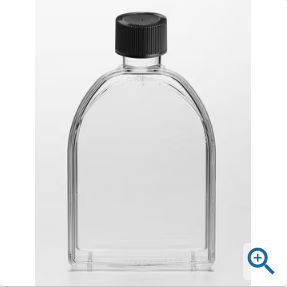 Corning 细胞培养瓶，430372