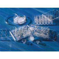 3415 Transwell嵌套，含24孔板（PC膜，6.5mm，3.0um)