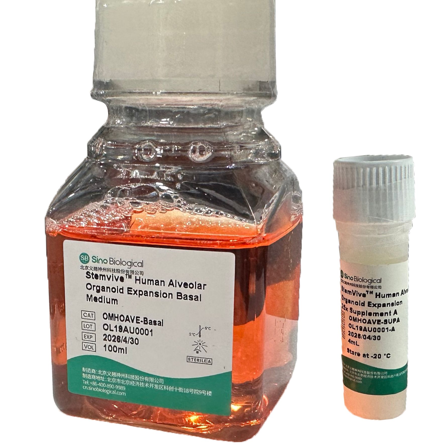 StemViveTM人肺泡类器官扩增培养基