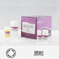 高纯质粒小提试剂盒
