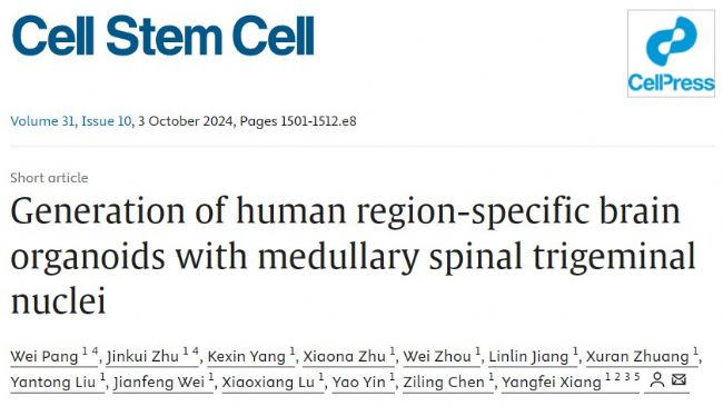 3Brain高分文献速递-类脑篇