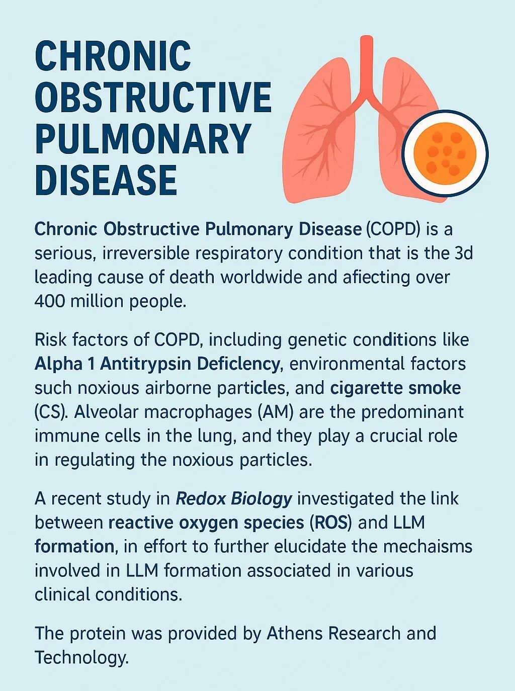氧化低密度脂蛋白（oxLDL）：揭示COPD肺部炎症的新关键