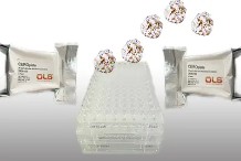 【科研新突破】OLS CASY——CRISPR筛选的“金标准”