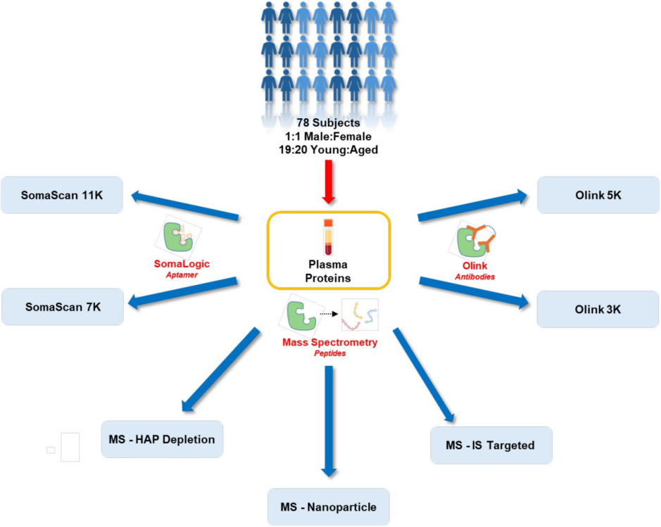 6389441032636902826907289