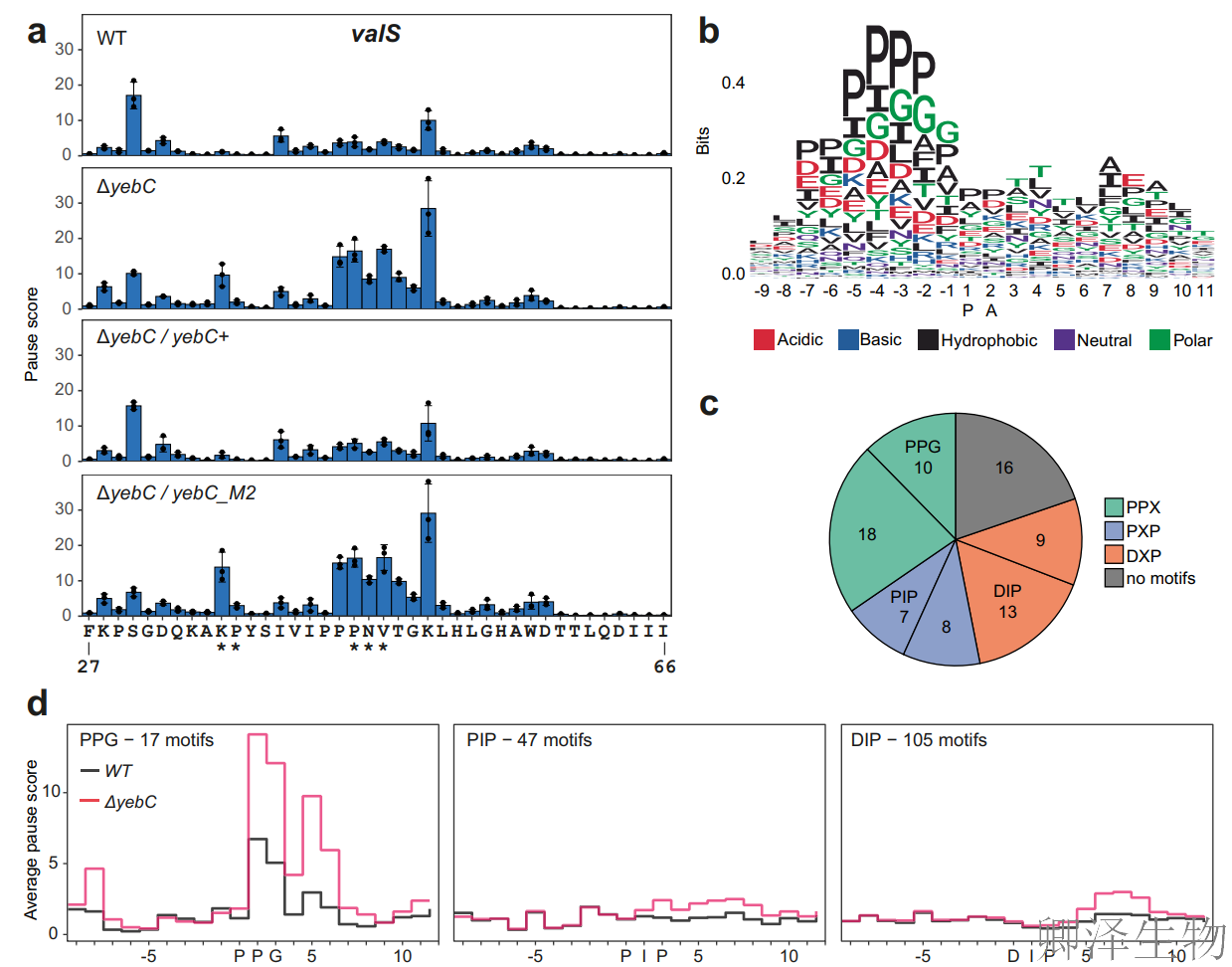 【RBP调控翻译】 | 细菌翻译“交通警”YebC：专治核糖体“脯氨酸拥堵”
