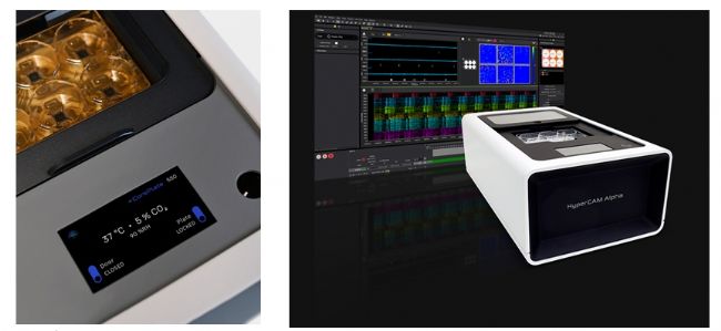 3Brain高分文献速递-类脑篇