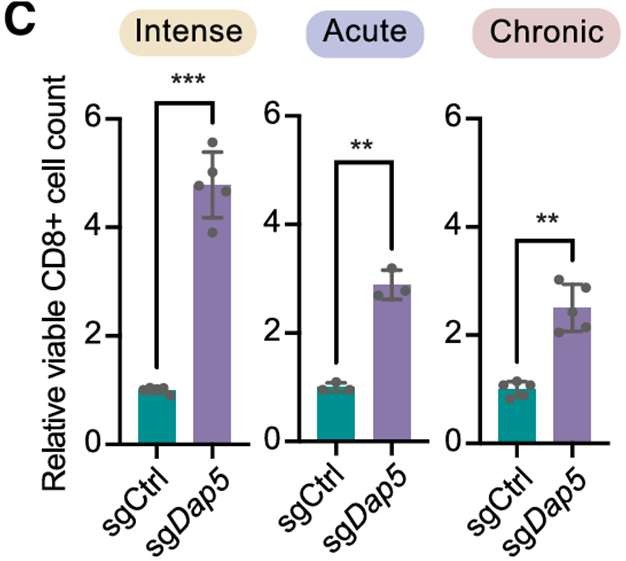 CASY 3D无标记细胞分析仪：为细胞研究提供精准数据