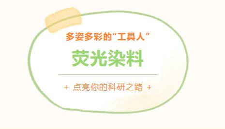 干货分享 ¦ 多姿多彩的“工具人”——荧光染料，点亮你的科研之路