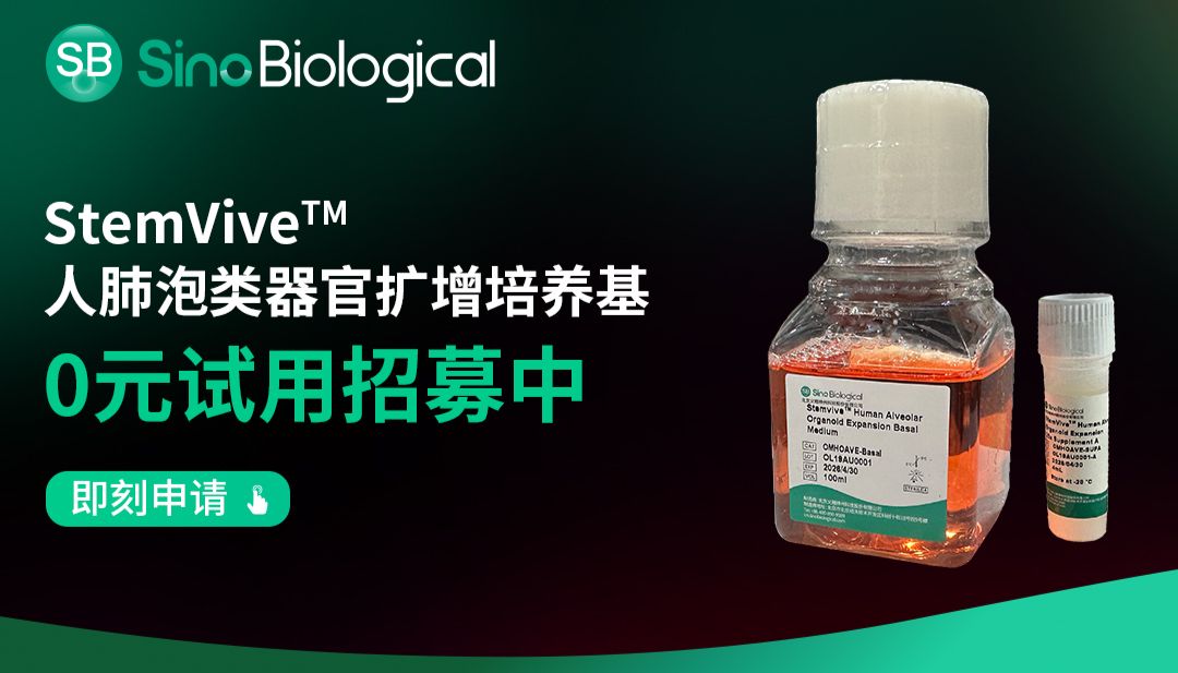 「0元试用」人肺泡类器官扩增培养基即将上市！
