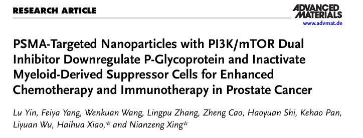 6389415143180177252044961