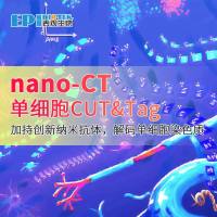 单细胞CUT&Tag：加持创新纳米抗体，解码单细胞染色质