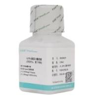 0.25%胰蛋白酶溶液（含EDTA，溶于PBS）