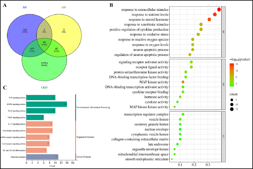 6389431116549203252939181