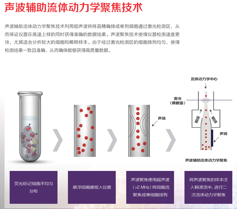 Attune Xenith全光谱流式细胞分析仪： 多维革新赋能精准细胞研究