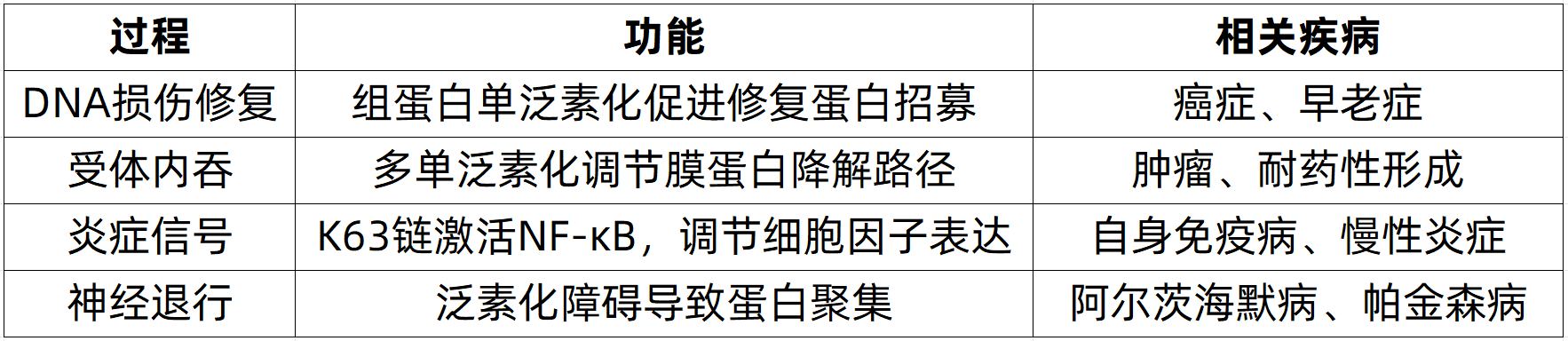 quantitative-ubiquitinomics-zh6-1