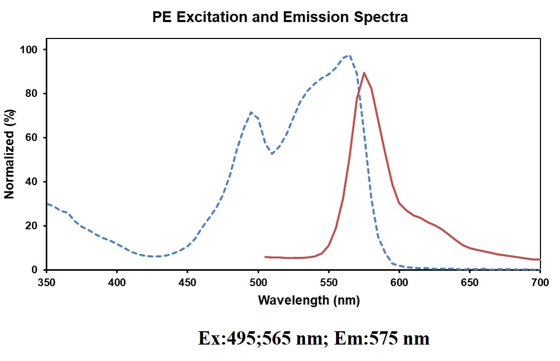 PE Anti-Human CD1a Antibody[HI