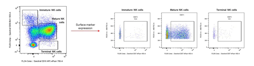 图形用户界面, 图示, 应用程序

描述已自动生成