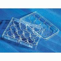 12孔板/细胞培养板 3513