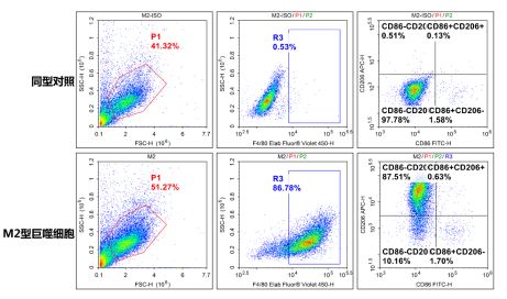 BMDM极化M2使用FITC-CD86（E-AB-F0994C）/APC-CD206（E-AB-F1135E）/PerCP/Cyanine5.5-F4/80（E-AB-F0995J）检测并分析结果
