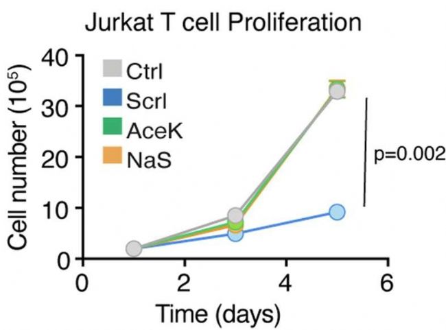 CASY 3D无标记细胞分析仪：为细胞研究提供精准数据