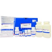 SPINeasy™尿液RNA提取试剂盒