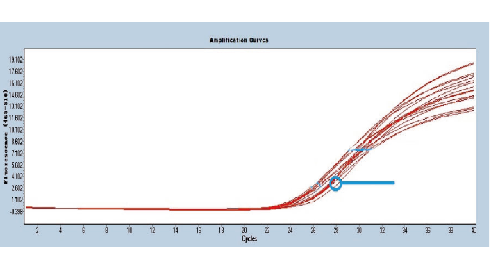 磁珠法干血斑基因组DNA提取试剂盒（DP344）