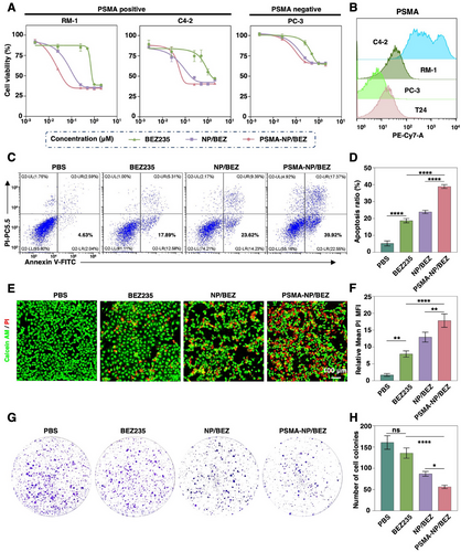 6389415147426162318815588