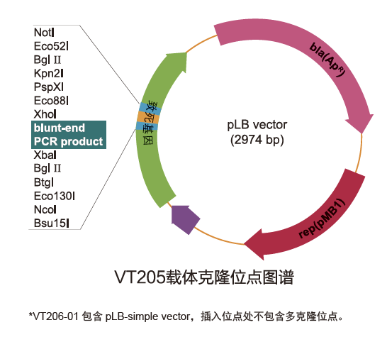 pLB零背景快速克隆试剂盒（VT205）