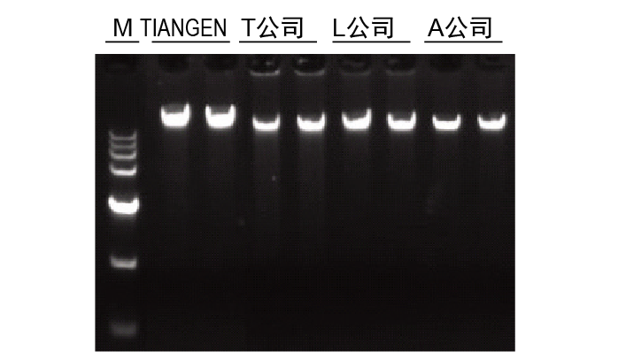 血液基因组DNA提取系统(0.1-20 ml)(DP349)