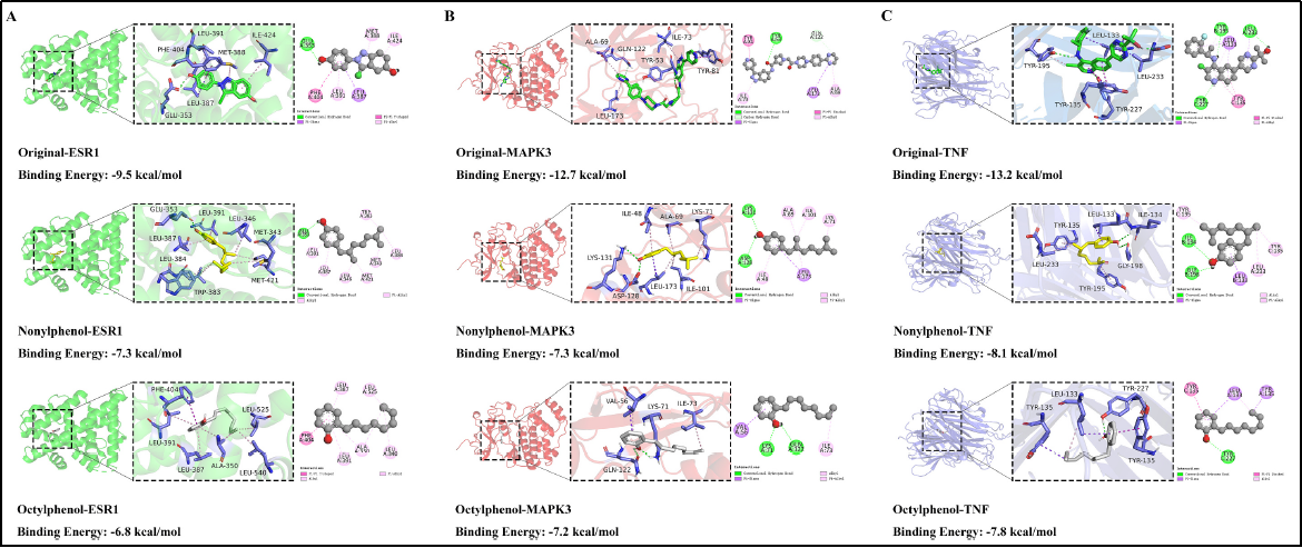 6389431100600477102152354