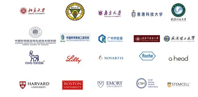 3Brain公司旗下的HyperCAM Alpha-电生理功能成像新前沿