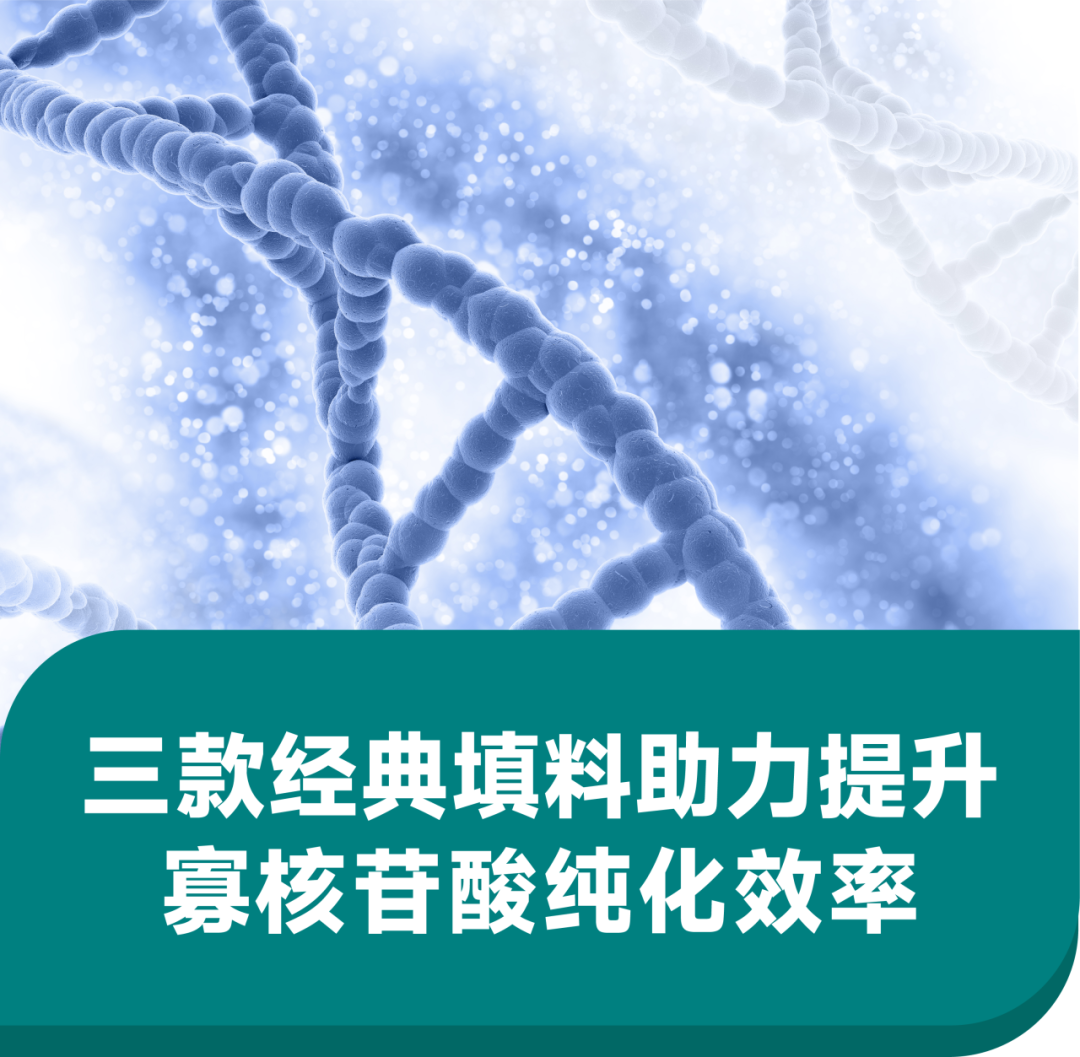 提升寡核苷酸纯化效率, 三款经典阴离子交换填料如何选