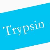 Trypsin 蛋白酶 质谱级胰蛋白酶/CAS:9002-07-7