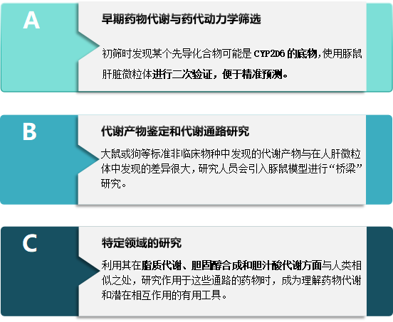 豚鼠肝微粒体 4.png 豚鼠肝微粒体 4.png