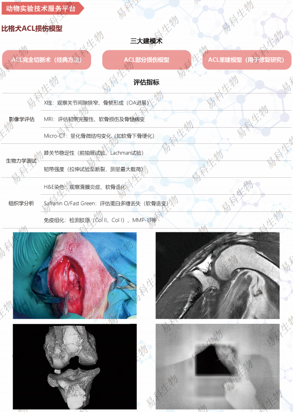 产品细节图片3