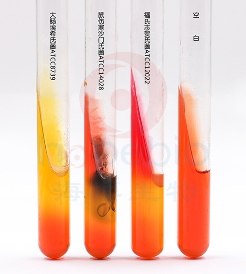 三糖铁(TSI)琼脂(GB4789.4-2024标准)