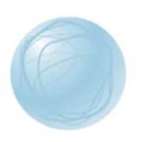 壳聚糖/叶酸功能化的PLGA纳米平台实现紫杉醇的口服给药与荧光追踪 PTX/Coumarin-6@PLGA NPs-CS/FA