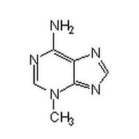 自噬抑制剂，3-MA