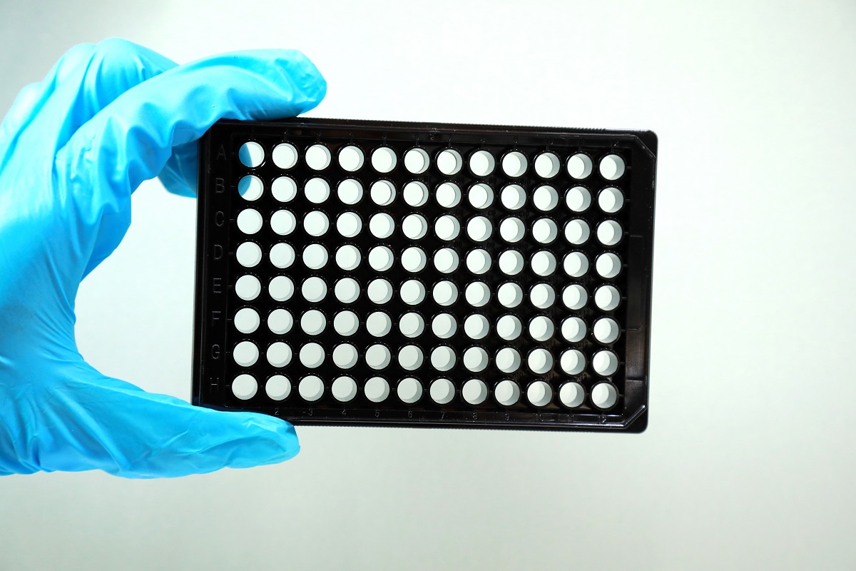 96孔黑框透明底 天津本生