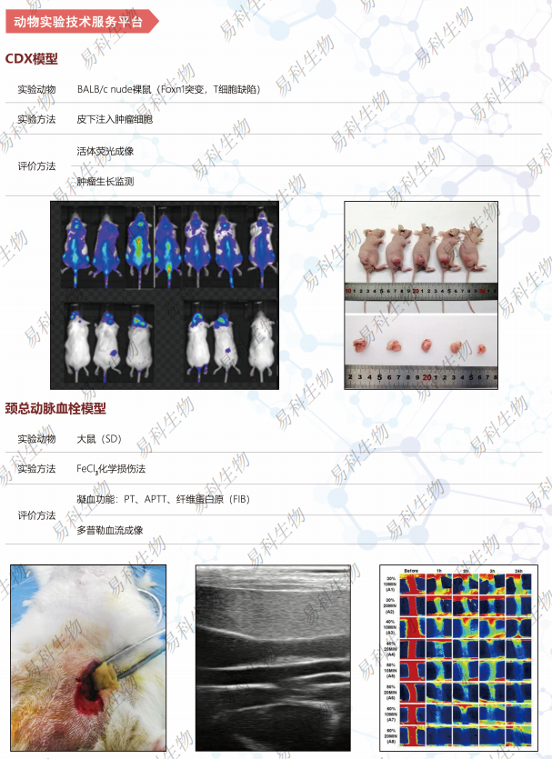 产品细节图片2
