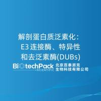 解剖蛋白质泛素化：E3 连接酶、特异性和去泛素酶(DUBs)......