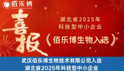 喜报 | 热烈祝贺佰乐博生物成功入选湖北省2025年科技型中小企业！